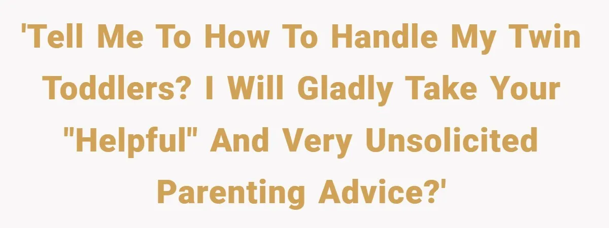 'Tell me to how to handle my twin toddlers? I will gladly take your "helpful" and very unsolicited parenting advice?'