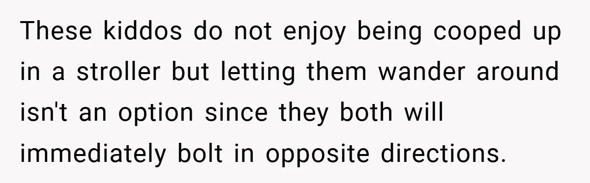 These kiddos do not enjoy being cooped up in a stroller but letting them wander around isn't an option since they both will immediately bolt in opposite directions.
