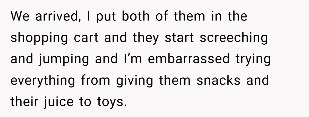 We arrived, I put both of them in the shopping cart and they start screeching and jumping and I’m embarrassed trying everything from giving them snacks and their juice to...