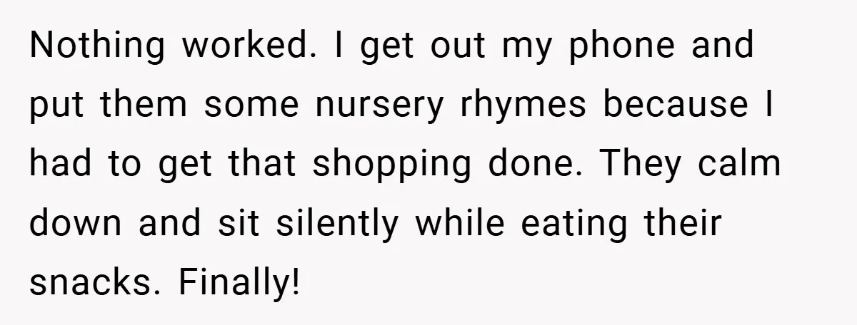 Nothing worked. I get out my phone and put them some nursery rhymes because I had to get that shopping done. They calm down and sit silently while eating their...