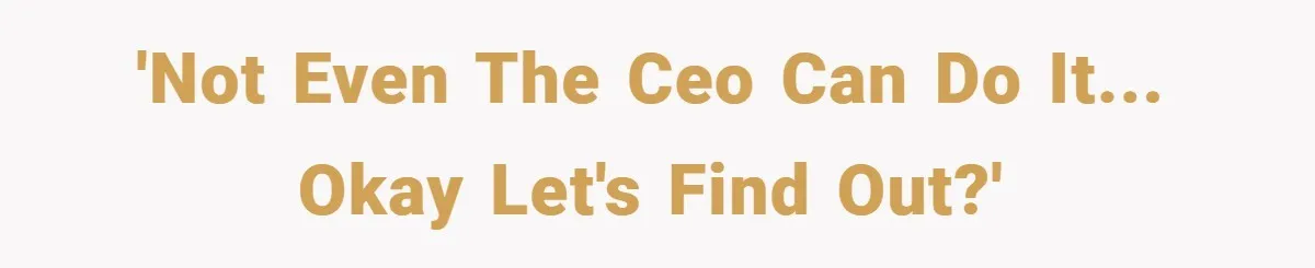 'Not even the CEO can do it... okay let's find out?'