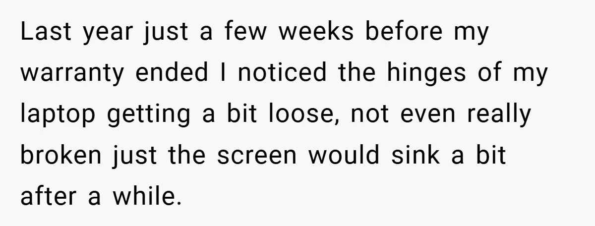 Last year just a few weeks before my warranty ended I noticed the hinges of my laptop getting a bit loose, not even really broken just the screen would sink...