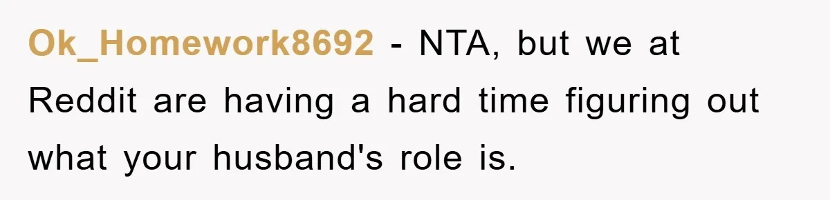 Ok_Homework8692 − NTA, but we at Reddit are having a hard time figuring out what your husband's role is.
