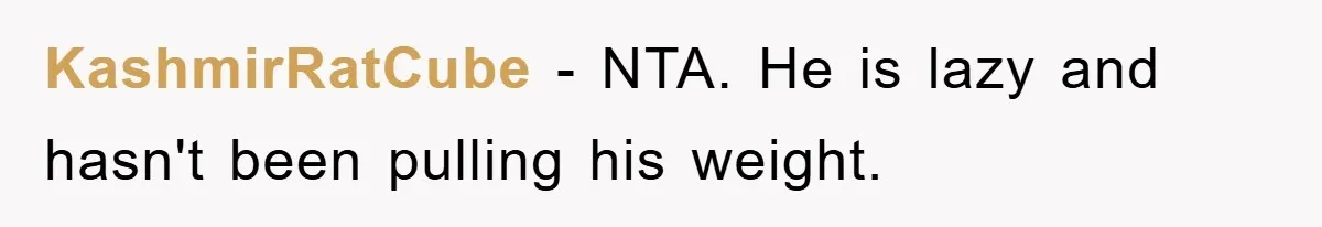 KashmirRatCube − NTA. He is lazy and hasn't been pulling his weight.