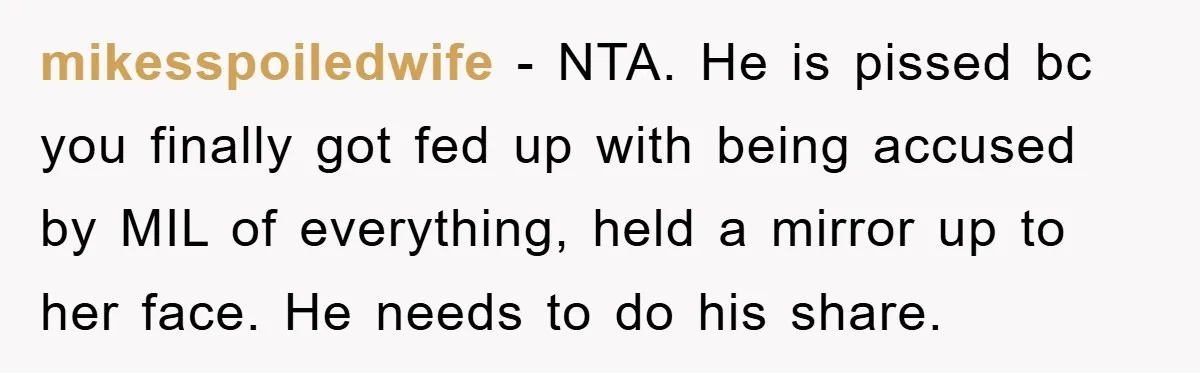 mikesspoiledwife − NTA. He is pissed bc you finally got fed up with being accused by MIL of everything, held a mirror up to her face. He needs to do...