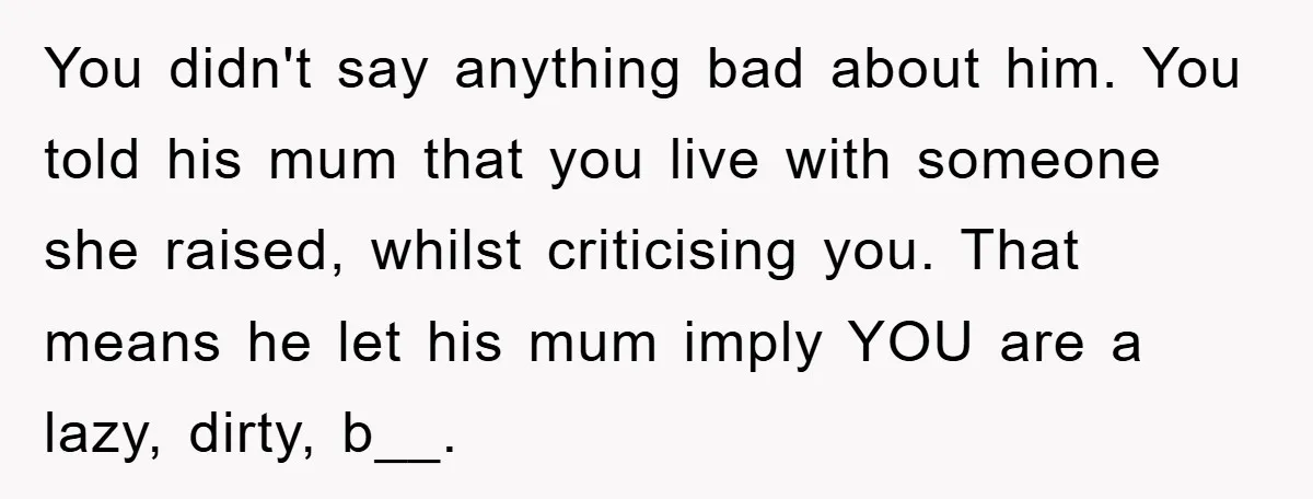 You didn't say anything bad about him. You told his mum that you live with someone she raised, whilst criticising you. That means he let his mum imply YOU are...