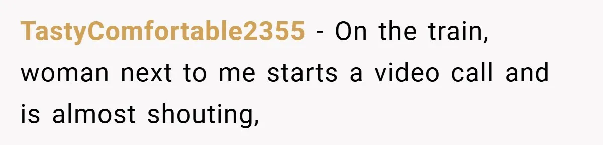 TastyComfortable2355 − On the train, woman next to me starts a video call and is almost shouting,
