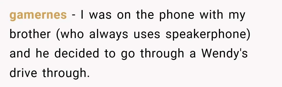 gamernes − I was on the phone with my brother (who always uses speakerphone) and he decided to go through a Wendy's drive through.