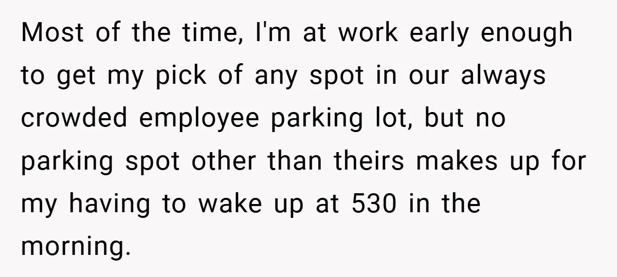 Most of the time, I'm at work early enough to get my pick of any spot in our always crowded employee parking lot, but no parking spot other than theirs...