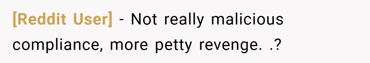 [Reddit User] − Not really malicious compliance, more petty revenge. .?