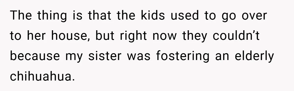 The thing is that the kids used to go over to her house, but right now they couldn’t because my sister was fostering an elderly chihuahua.