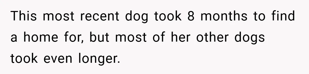 This most recent dog took 8 months to find a home for, but most of her other dogs took even longer.