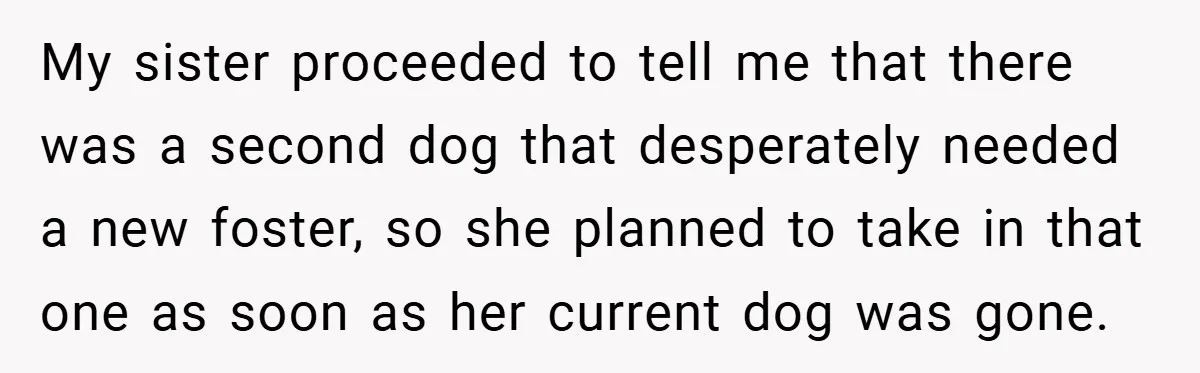 My sister proceeded to tell me that there was a second dog that desperately needed a new foster, so she planned to take in that one as soon as her...