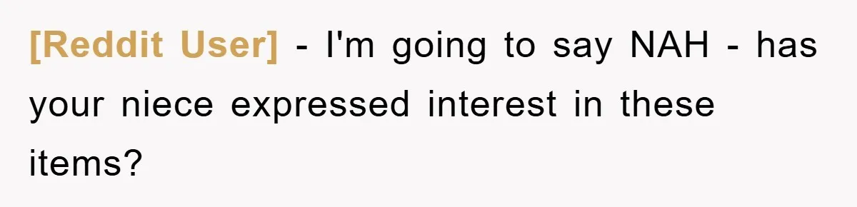 [Reddit User] − I'm going to say NAH - has your niece expressed interest in these items?