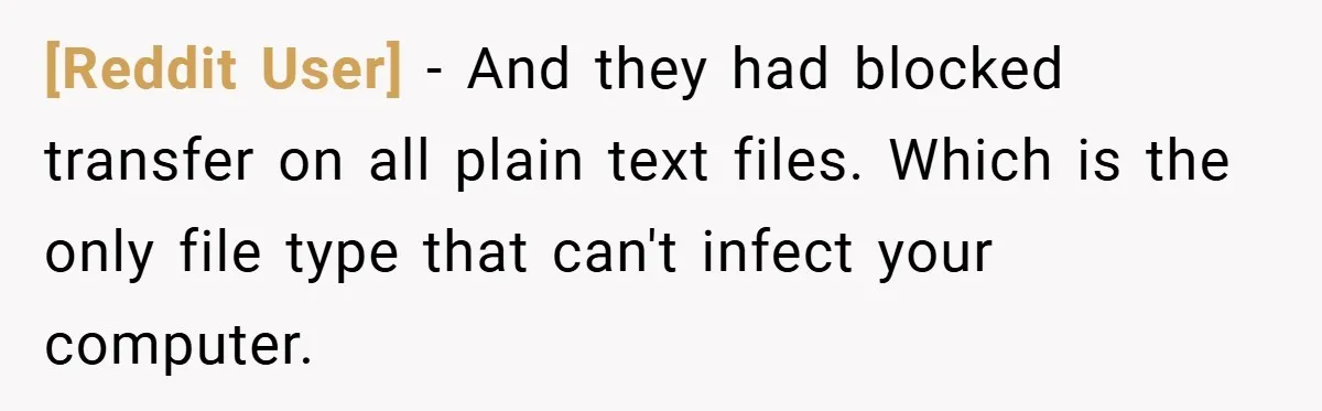 [Reddit User] − And they had blocked transfer on all plain text files. Which is the only file type that can't infect your computer.