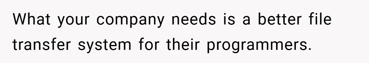What your company needs is a better file transfer system for their programmers.