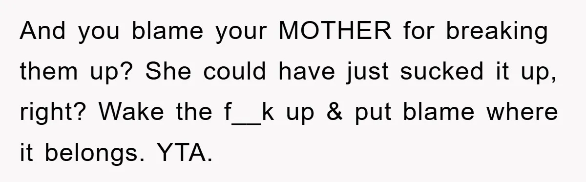 And you blame your MOTHER for breaking them up? She could have just sucked it up, right? Wake the f__k up & put blame where it belongs. YTA.
