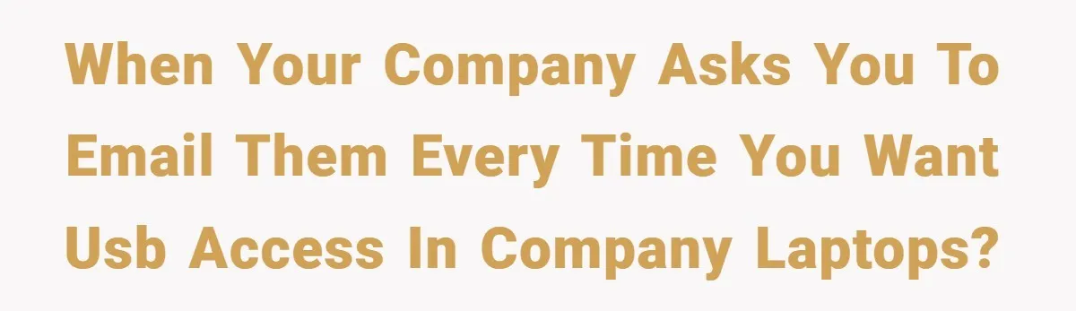 When your company asks you to email them every time you want USB access in company laptops?