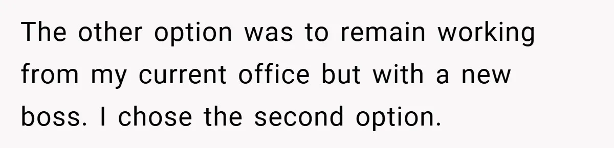 The other option was to remain working from my current office but with a new boss. I chose the second option.