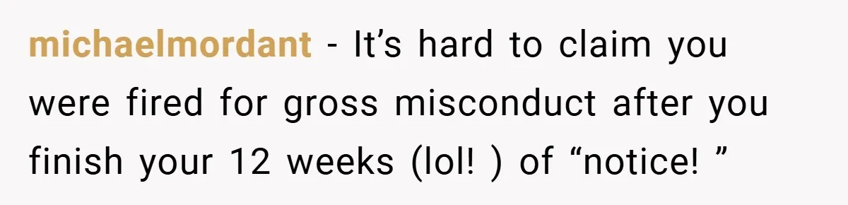 michaelmordant − It’s hard to claim you were fired for gross misconduct after you finish your 12 weeks (lol! ) of “notice! ”