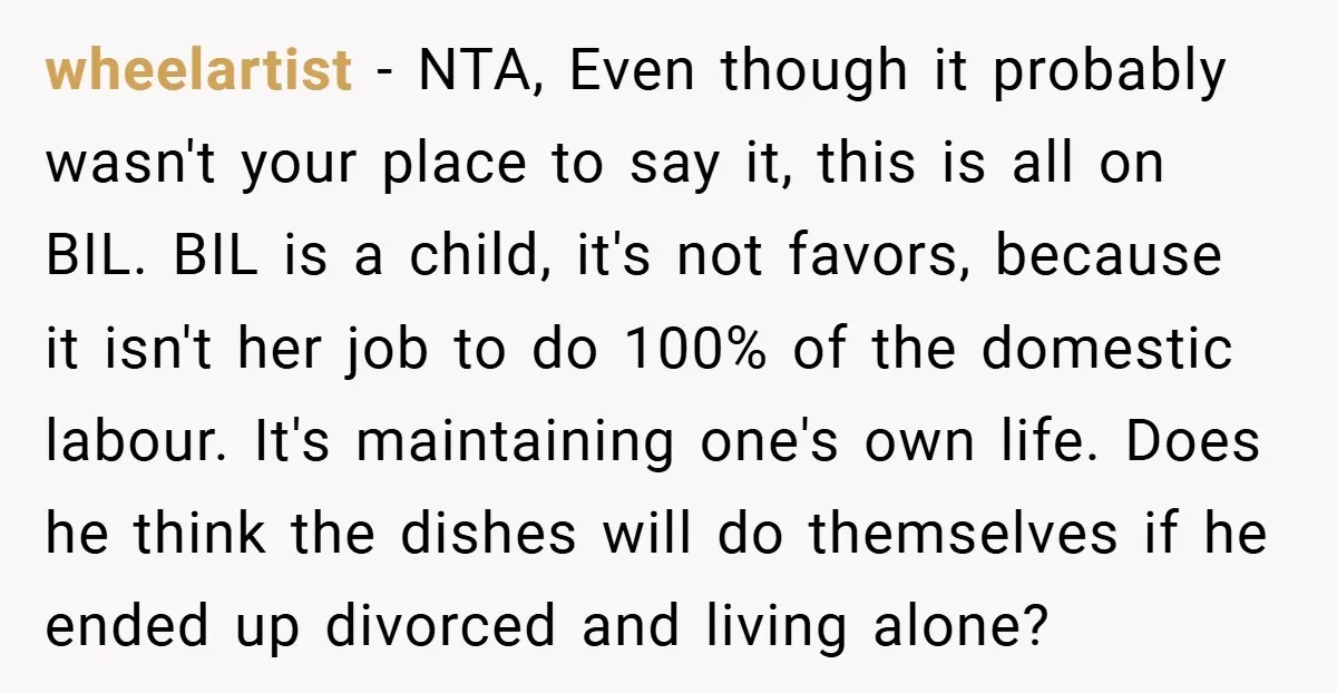 wheelartist − NTA, Even though it probably wasn't your place to say it, this is all on BIL. BIL is a child, it's not favors, because it isn't her job...