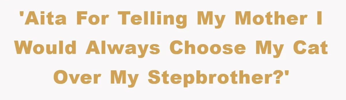 'AITA for telling my mother I would always choose my cat over my stepbrother?'