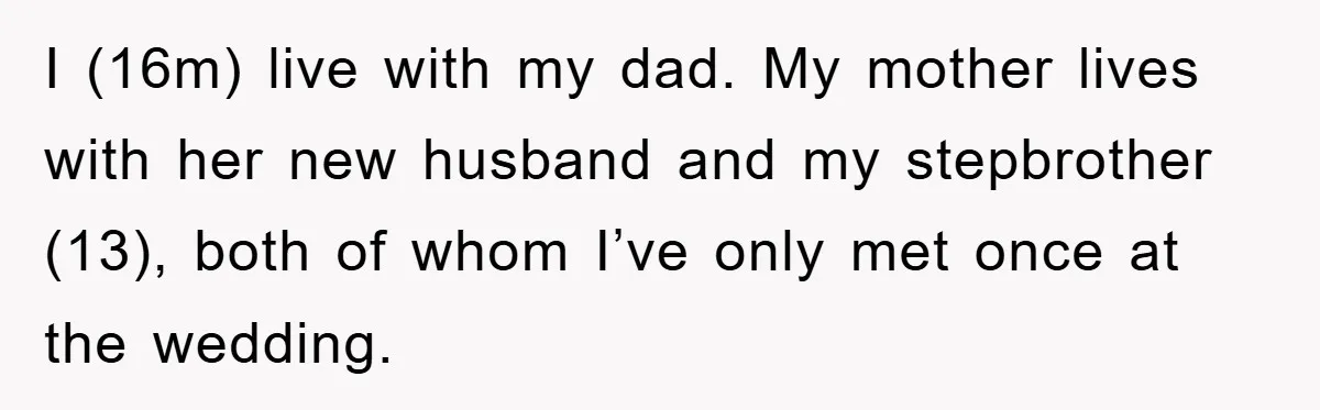 I (16m) live with my dad. My mother lives with her new husband and my stepbrother (13), both of whom I’ve only met once at the wedding.