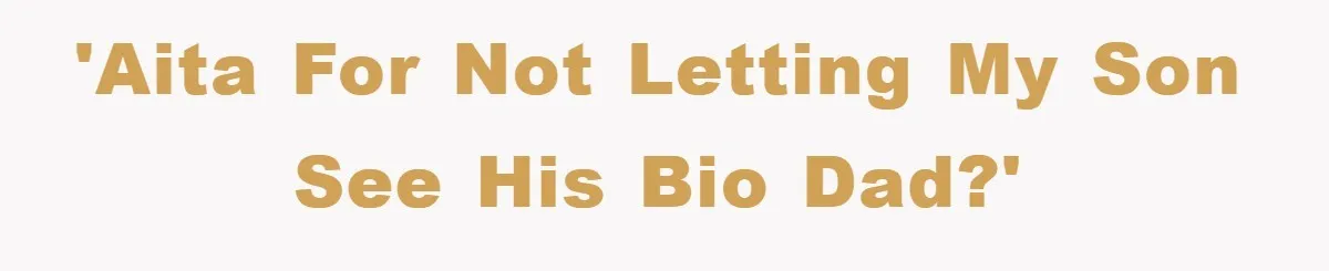 'AITA for not letting my son see his bio dad?'