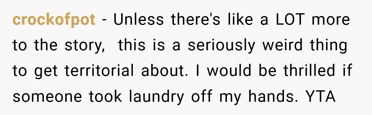 crockofpot − Unless there's like a LOT more to the story, this is a seriously weird thing to get territorial about. I would be thrilled if someone took laundry off...