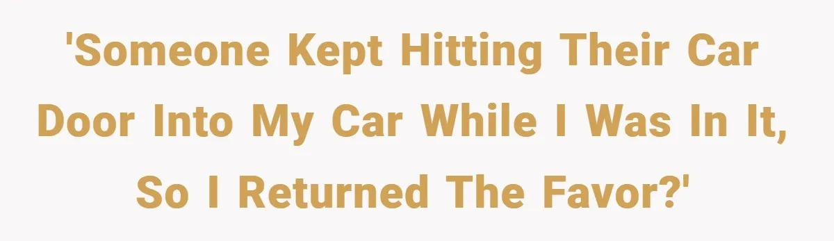 'Someone kept hitting their car door into my car while I was in it, so I returned the favor?'