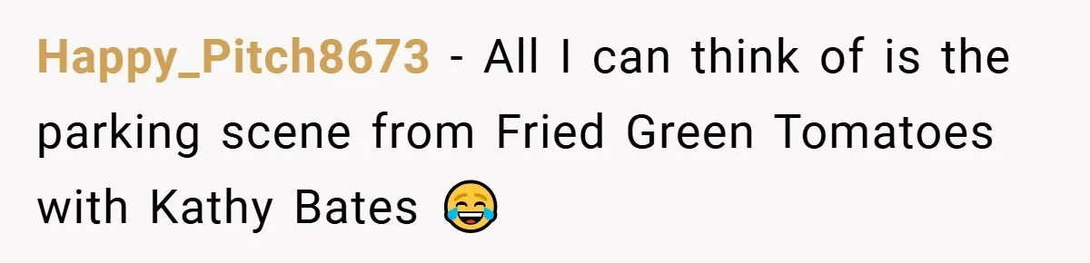 Happy_Pitch8673 − All I can think of is the parking scene from Fried Green Tomatoes with Kathy Bates 😂