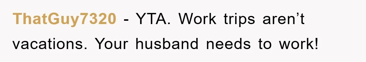 ThatGuy7320 − YTA. Work trips aren’t vacations. Your husband needs to work!