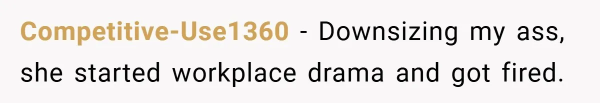 Competitive-Use1360 − Downsizing my ass, she started workplace drama and got fired.