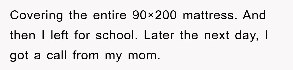 Covering the entire 90×200 mattress. And then I left for school. Later the next day, I got a call from my mom.