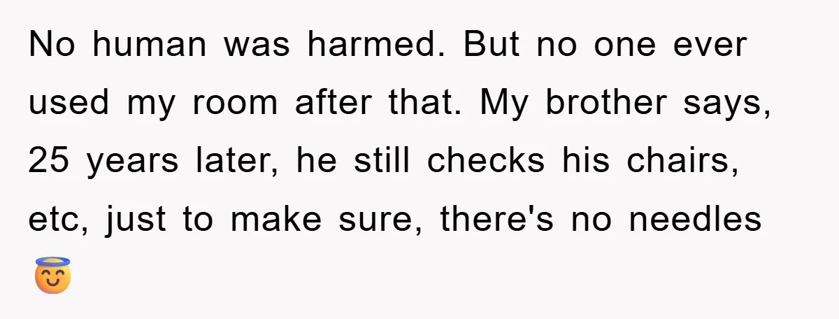 No human was harmed. But no one ever used my room after that. My brother says, 25 years later, he still checks his chairs, etc, just to make sure, there's...