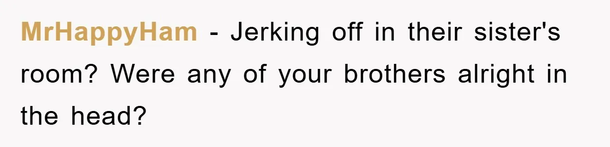 MrHappyHam − Jerking off in their sister's room? Were any of your brothers alright in the head?