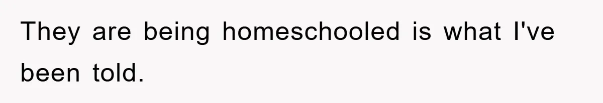 Free Childcare, Accused Of Starving Kids With Veggie Food They are being homeschooled is what I've been told.
