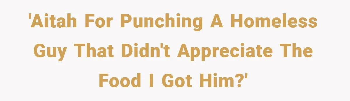 'AITAH for punching a homeless guy that didn't appreciate the food I got him?'