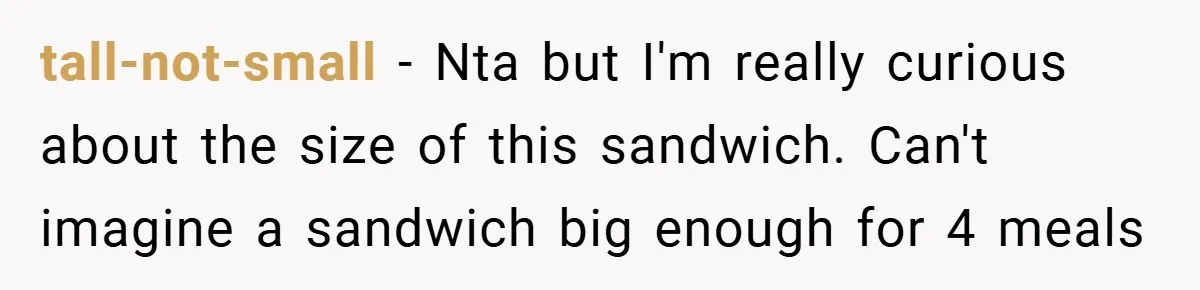 tall-not-small − Nta but I'm really curious about the size of this sandwich. Can't imagine a sandwich big enough for 4 meals