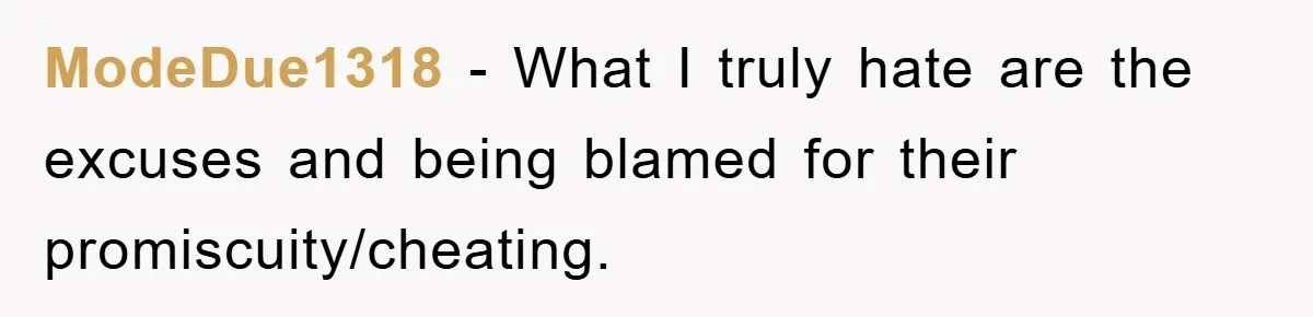 ModeDue1318 − What I truly hate are the excuses and being blamed for their promiscuity/cheating.