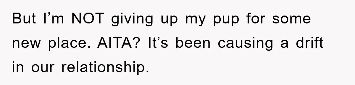 But I’m NOT giving up my pup for some new place. AITA? It’s been causing a drift in our relationship.