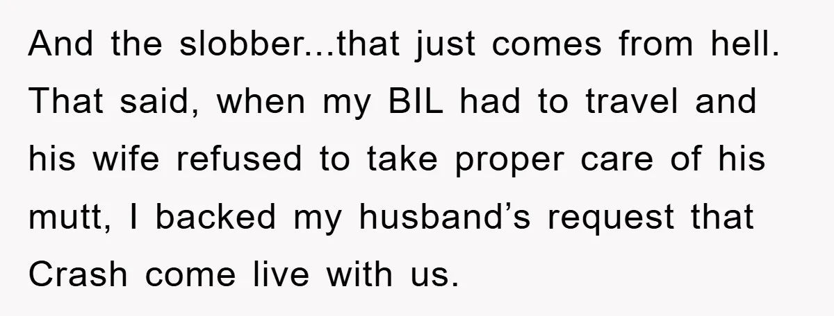 And the slobber...that just comes from hell. That said, when my BIL had to travel and his wife refused to take proper care of his mutt, I backed my husband’s...