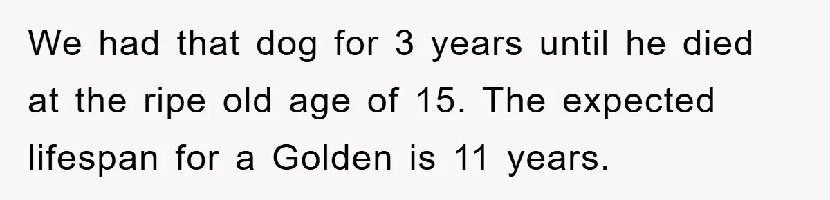 We had that dog for 3 years until he died at the ripe old age of 15. The expected lifespan for a Golden is 11 years.