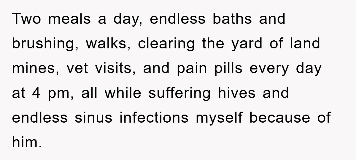 Two meals a day, endless baths and brushing, walks, clearing the yard of land mines, vet visits, and pain pills every day at 4 pm, all while suffering hives and...
