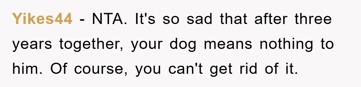 Yikes44 − NTA. It's so sad that after three years together, your dog means nothing to him. Of course, you can't get rid of it.