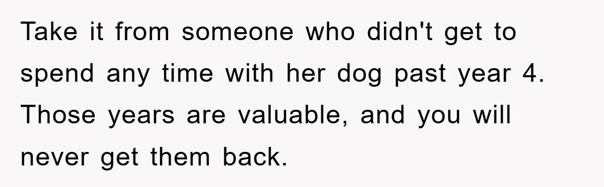 Take it from someone who didn't get to spend any time with her dog past year 4. Those years are valuable, and you will never get them back.
