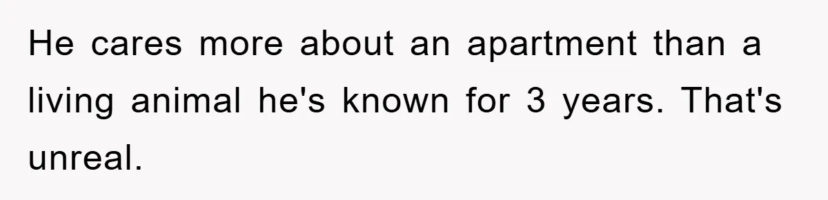 He cares more about an apartment than a living animal he's known for 3 years. That's unreal.