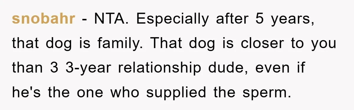 snobahr − NTA. Especially after 5 years, that dog is family. That dog is closer to you than 3 3-year relationship dude, even if he's the one who supplied the...