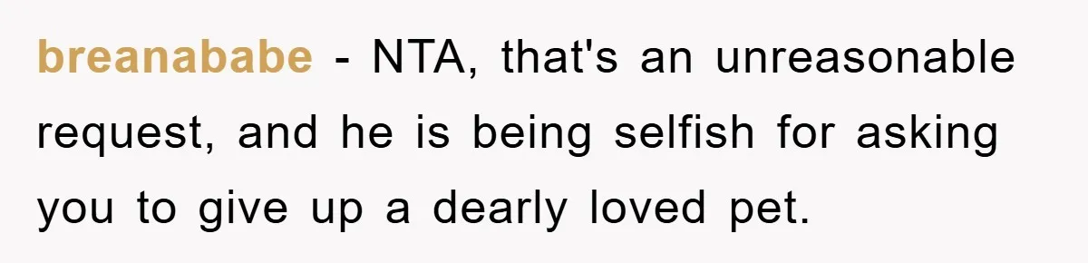 breanababe − NTA, that's an unreasonable request, and he is being selfish for asking you to give up a dearly loved pet.