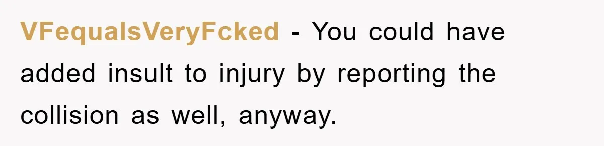 VFequalsVeryFcked − You could have added insult to injury by reporting the collision as well, anyway.